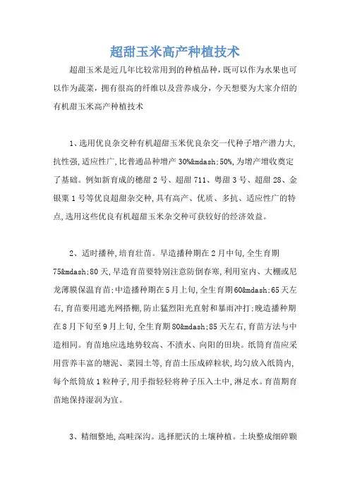 超甜玉米高产种植技术