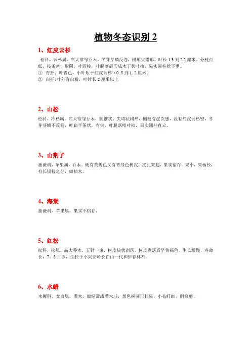 植物冬态识别2