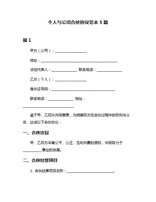 个人与公司合伙协议范本5篇