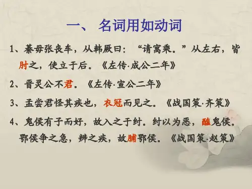 古代汉语七词类活用ppt课件