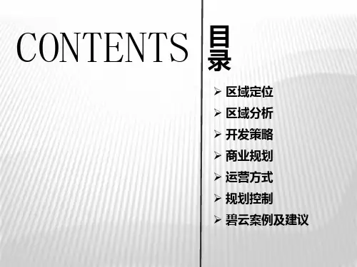天津泰达MSD核心区地块商业策划报告68页