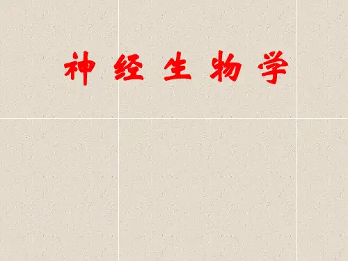 [医学]神经生物学绪论要点