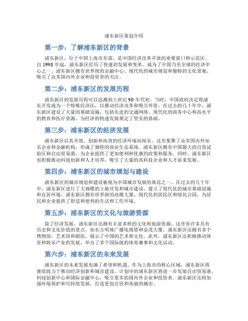 浦东新区策划介绍