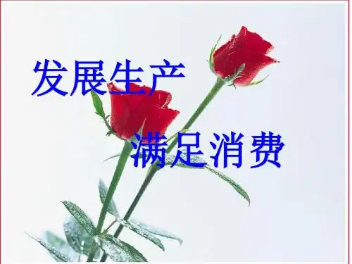 人教版高中政治必修一课件 第二单元第四课发展生产满足消费公开课(共15张ppt)