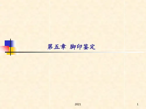 脚印鉴定PPT课件