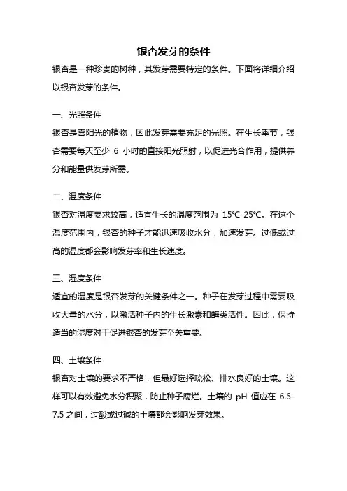 银杏发芽的条件