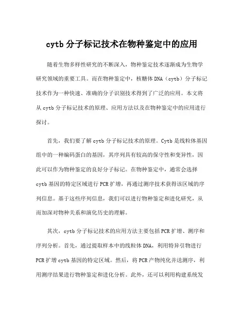 cytb分子标记技术在物种鉴定中的应用