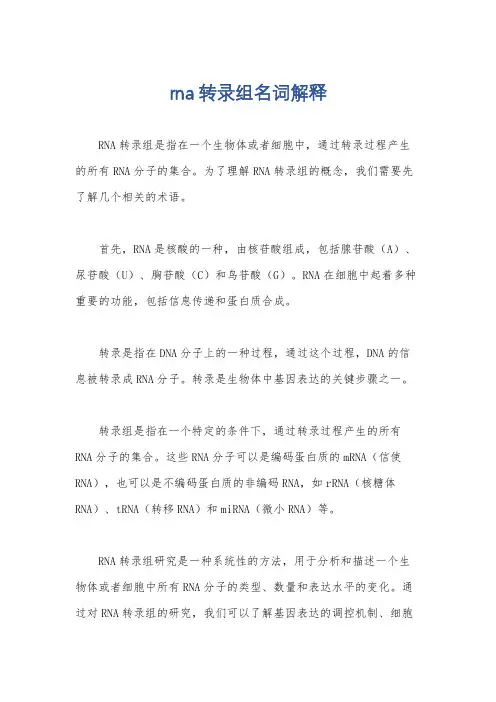 rna转录组名词解释