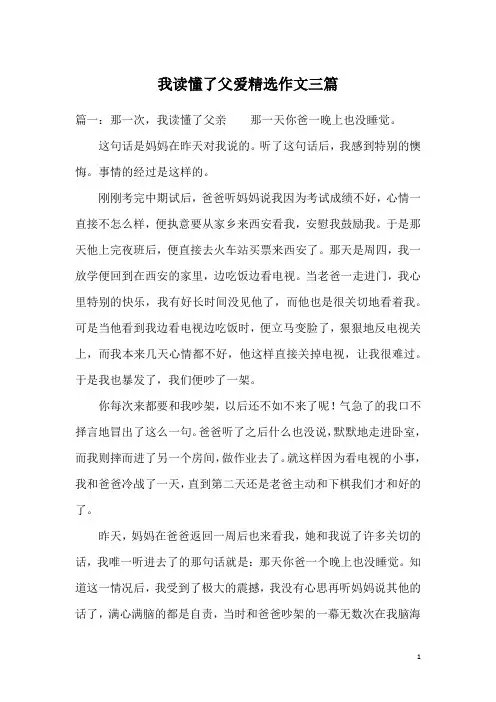 我读懂了父爱精选作文三篇