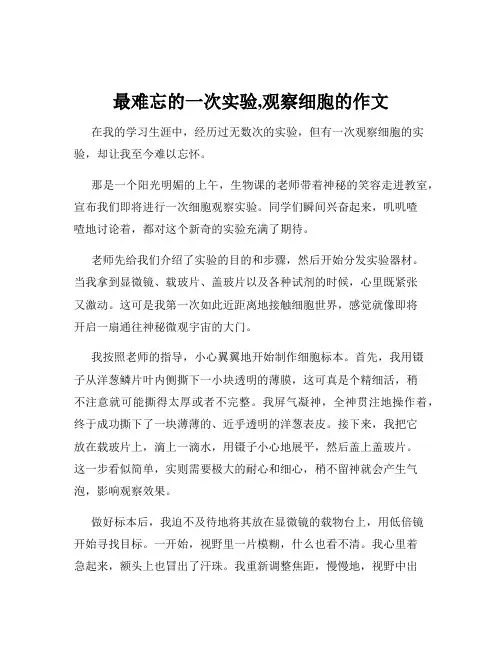 最难忘的一次实验,观察细胞的作文