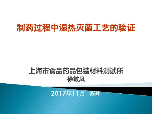 11、湿热灭菌工艺的验证