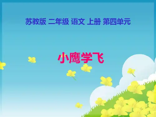(苏教版)二年级语文上册小鹰学飞1精品PPT课件