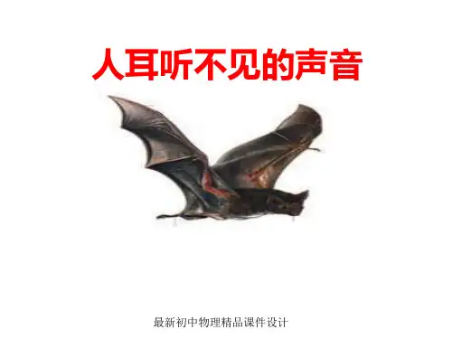 最新苏科初中物理八年级上册《1.4 人耳听不见的声音》PPT课件 (1)