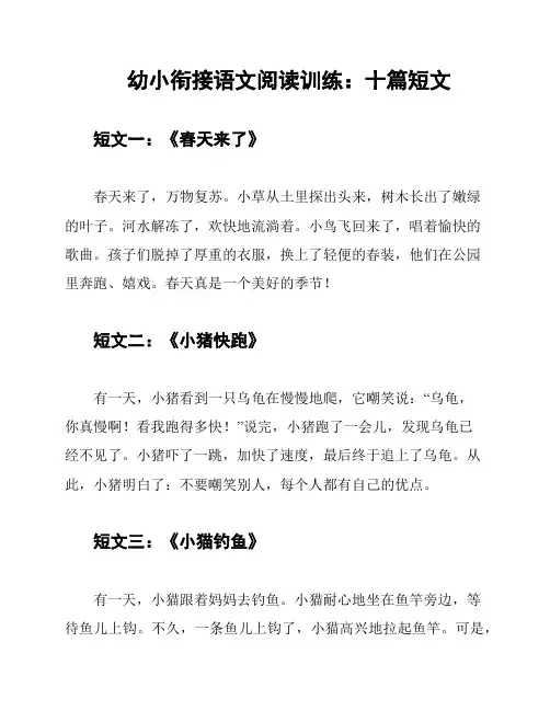 幼小衔接语文阅读训练：十篇短文
