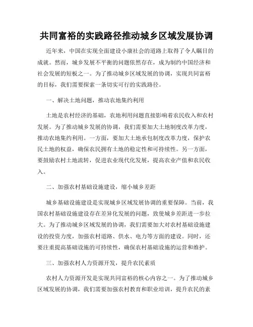 共同富裕的实践路径推动城乡区域发展协调