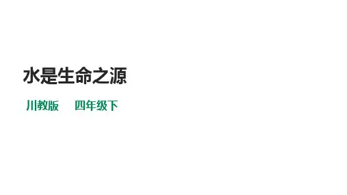 川教版四年级《生命生态安全》下册第1课《水是生命之源》  课件