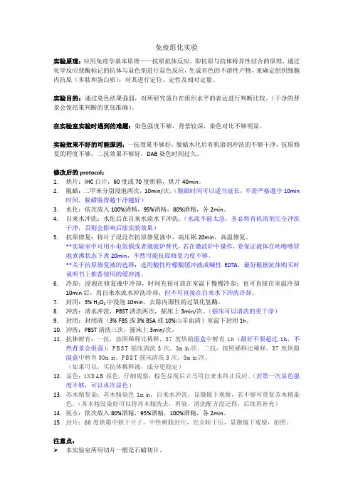 免疫组化实验
