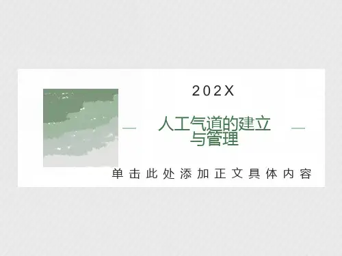 人工气道的建立与管理