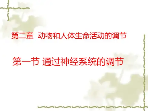 通过神经系统的调节ppt课件(001)