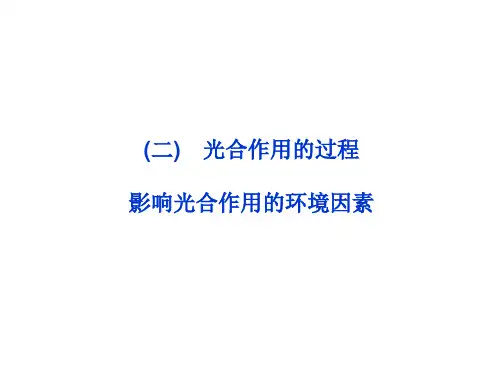 高中生物第四章 第二节(二)