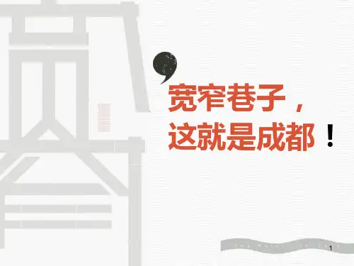 成都宽窄巷子项目规划创新设计案PPT课件