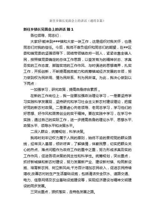 新任乡镇长见面会上的讲话（通用3篇）