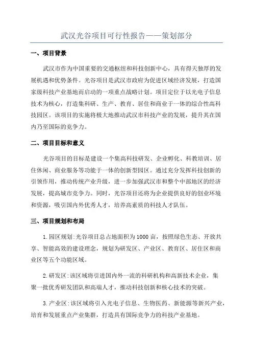 武汉光谷项目可行性报告——策划部分