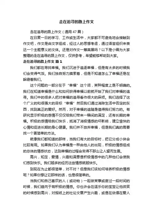 走在追寻的路上作文