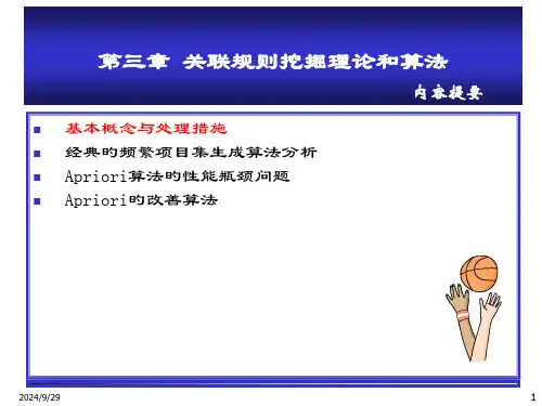 数据挖掘原理与算法关联规则挖掘