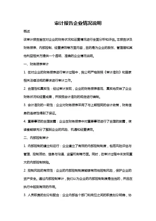 审计报告企业情况说明