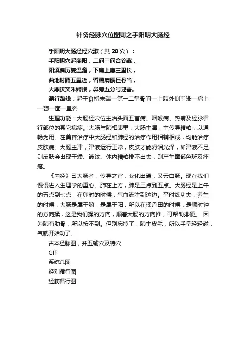 针灸经脉穴位图则之手阳明大肠经