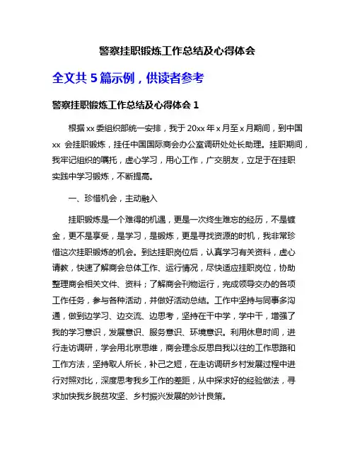 警察挂职锻炼工作总结及心得体会