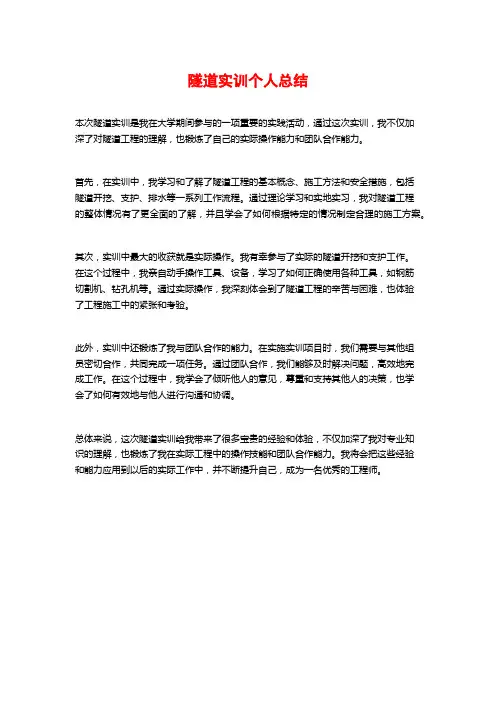 隧道实训个人总结