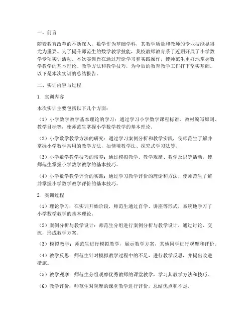 数学专业技能实训总结报告