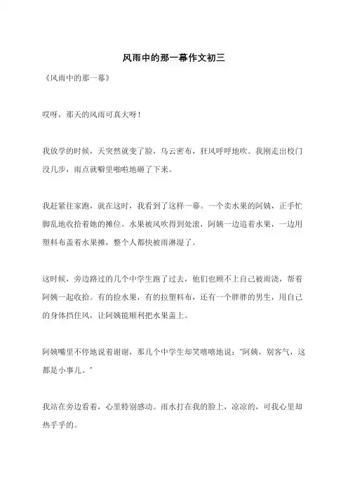 风雨中的那一幕作文初三
