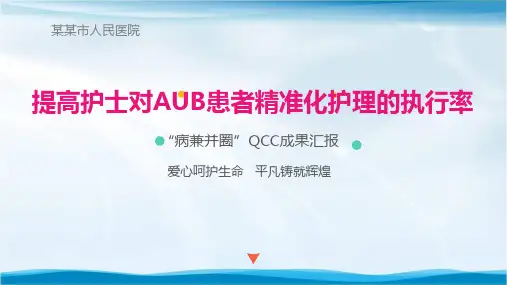 提高护士对AUB患者精准化护理的执行率品管圈ppt汇报书模板