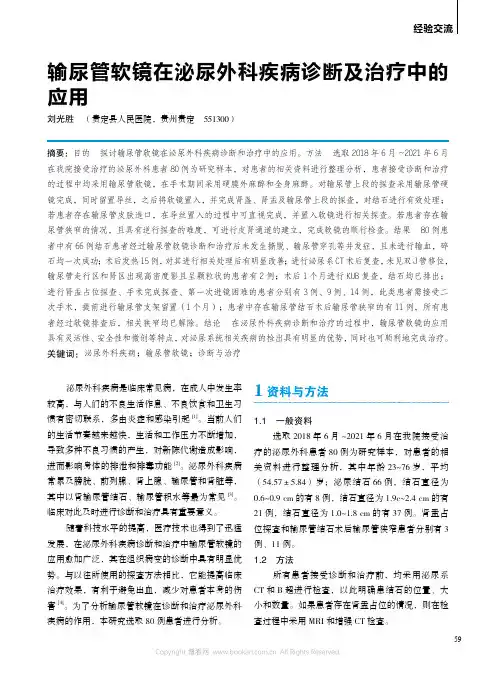 输尿管软镜在泌尿外科疾病诊断及治疗中的应用
