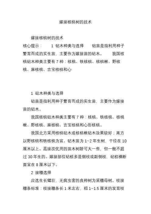 嫁接核桃树的技术