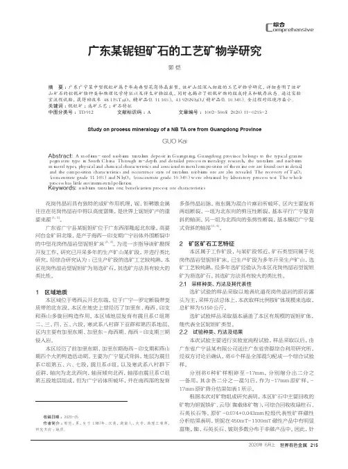 广东某铌钽矿石的工艺矿物学研究