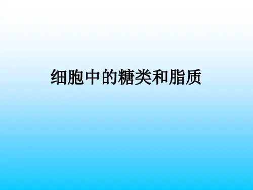 高中生物《细胞中的糖类和脂质》课件ppt