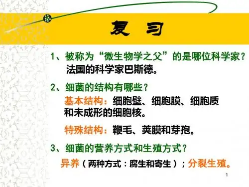 新人教版_真菌PPT演示课件