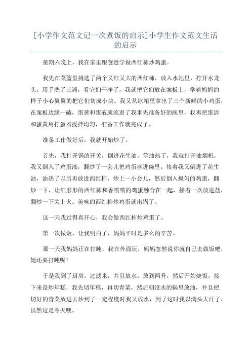 [小学作文范文记一次煮饭的启示]小学生作文范文生活的启示