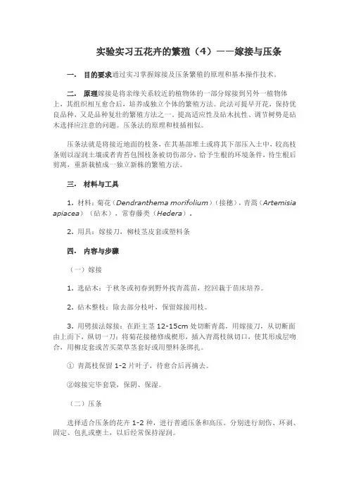 实验实习五花卉的繁殖(4)——嫁接与压条