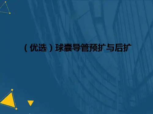 (优选)球囊导管预扩与后扩
