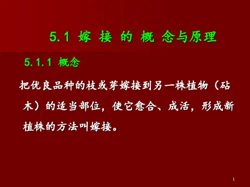 园林树木的嫁接技术