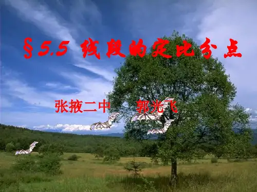 线段的定比分点
