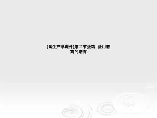 (禽生产学课件)第二节蛋鸡--蛋用雏鸡的培育