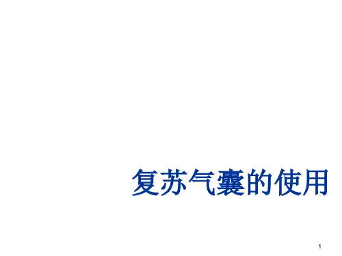 复苏气囊的使用ppt课件