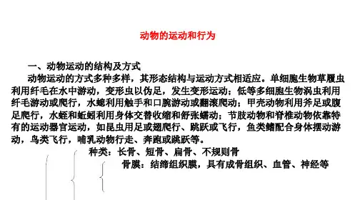 人教九年级生物中考复习：动物的运动和行为知识总结
