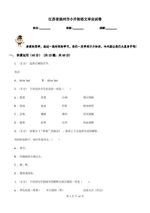 江苏省扬州市小升初语文毕业试卷